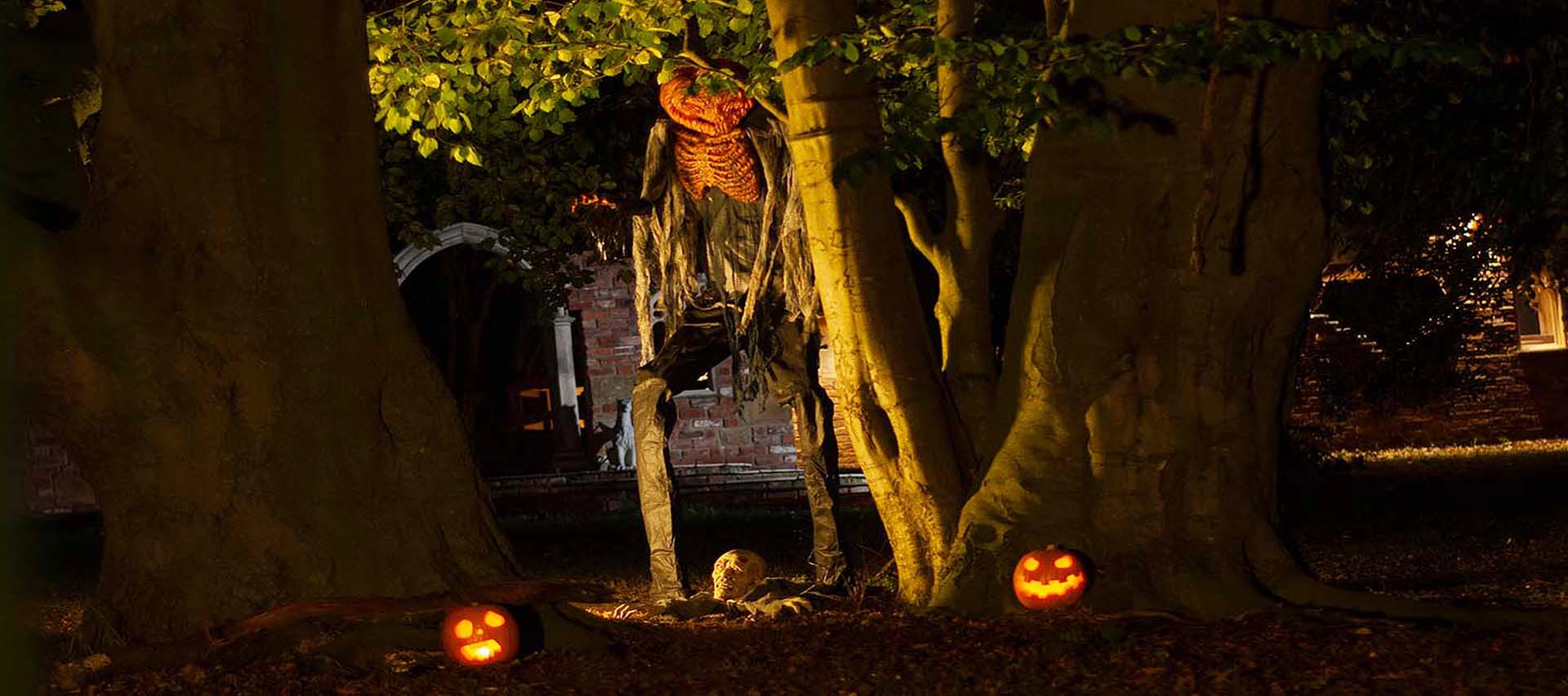 This is our haunted folly at Burtree Christmas in Thirsk North Yorkshire